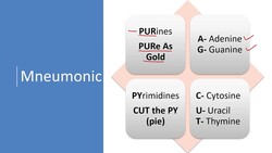 DNA Structure Mneumonic: Purine and Pyrimidines Structures Made Easy Instructional Video
