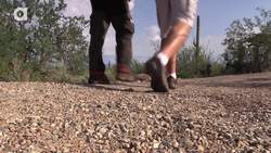 A Day at the Arizona Sonora Desert Museum! Instructional Video