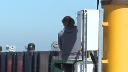 CLEAN : Disappointment in French seaside town after death of stranded beluga whale News Clip