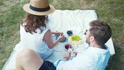 Enjoying a picnic day. Stock Footage