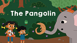 The Pangolin Instructional Video