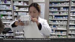 Prairies bearing the brunt of harsh flu season News Clip