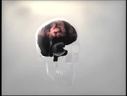 Nervous and Endocrine Systems: Central and Peripheral Nervous Systems Instructional Video