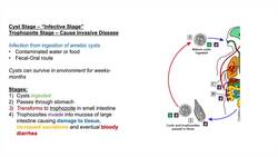 Amebiasis (Amoebic Dysentery) | Entamoeba histolytica, Pathogenesis, Signs & Symptoms, Treatment Instructional Video