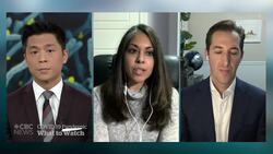 COVID-19: The potential fallout from Thanksgiving weekend News Clip