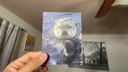 FLAG/ FAN DAY! SWITZERLAND! (Geography Now) Instructional Video