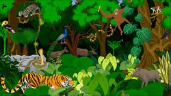 Latin Vocabulary: Wild Animals Instructional Video