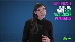 The 1918 Pandemic: The Deadliest Flu in History Instructional Video