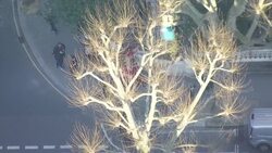 Little Amal Puppet at Ukraine Embassy - sanctions against Russia including Chelsea Football Club owner Roman Abramovich News Clip