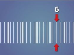 What Is Sound?: Frequency and Pitch Instructional Video
