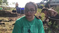 This Waterloo group is creating gardens for pollinators News Clip