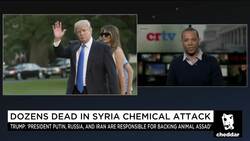 Will President Trump Respond to Syria's Chemical Attack? News Clip