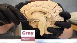 Why Fentanyl Is So Incredibly Dangerous Instructional Video