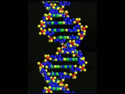 Heredity: Video Quiz Instructional Video