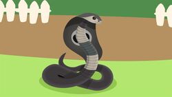 I WONDER - How Do Snakes Smell? Instructional Video