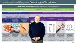 Contraceptive Techniques for Preventing Pregnancy Instructional Video