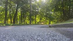 East Irvington neighborhood split about proposed project to build sidewalks News Clip