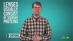 Animals Inspiring the Armor of the Future Instructional Video