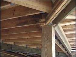 Measuring Mass and Volume: Introduction Instructional Video