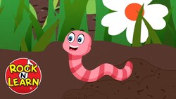 Wiggly Woo Instructional Video