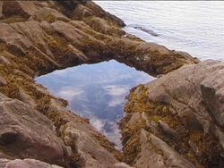 Ecology Fundamentals Quiz Instructional Video