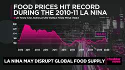 La Niña Likely to Severely Impact Global Food Supply Chain News Clip