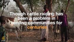 Cattle Raiders Terrorize South Sudanese News Clip