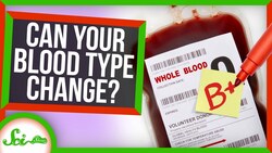 Could Your Blood Type Ever Change? Instructional Video