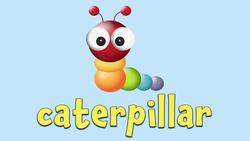 Bugs! Learning Bugs for Kids Instructional Video