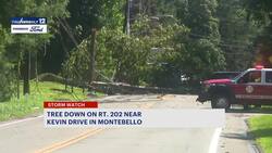 Fallen tree takes down power lines, blocks Route 202 in Montebello News Clip