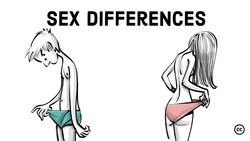 Sex Differences Instructional Video