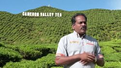 CLEAN : Malaysia's highland farmers fight for survival in pandemic News Clip