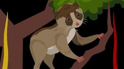 I WONDER - How Do Nocturnal Animals Use Their Sense Of Smell? Instructional Video