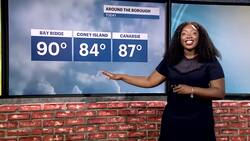 Hot and slightly humid for the Brooklyn today; tracking rain heading into the weekend Instructional Video