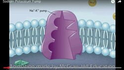 Na+/K+ Pump Function and Mechanism Instructional Video