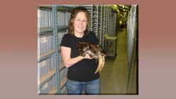 Scientists discover the earliest and most primitive pterodactyloid! NSF Science Now 23. Instructional Video