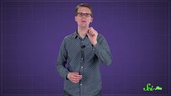 Why Can Mosquitoes Transmit Zika, But Not the Flu? Instructional Video