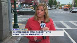 Pedestrian fatally struck in New Rochelle crash News Clip