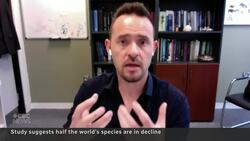 Half of world's species in decline, study suggests News Clip
