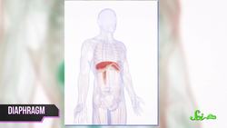 World's Most Asked Questions How Can I Get Rid of the Hiccups Instructional Video