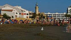 Le Grau du Roi, Gard,Occitanie, France Stock Footage