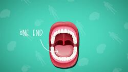 I WONDER - Is The Tongue A Muscle? Instructional Video