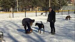 Dating apps News Clip