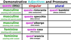 Demonstrative Adjectives and Pronouns: Using Questo and Quello Instructional Video