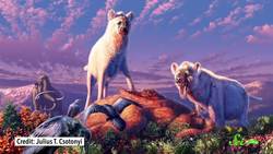 Hyenas Once Lived in the Frigid Arctic Instructional Video