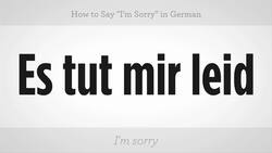 How to Say "I'm Sorry" in German Instructional Video