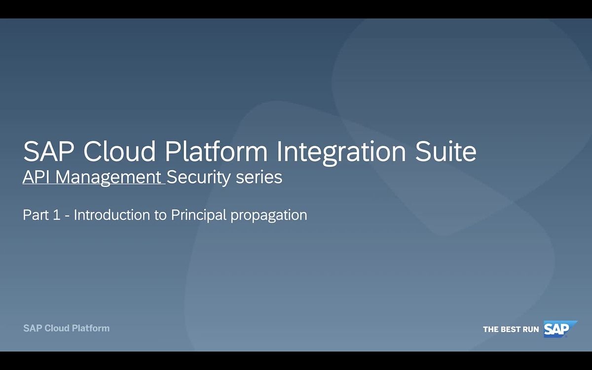 SAP Video - Part 1 - Introduction to Security flows and Principal ...