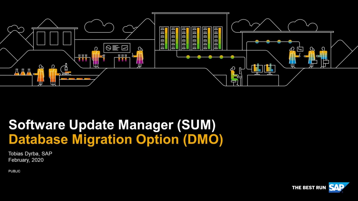 SAP Video - Database Migration Option