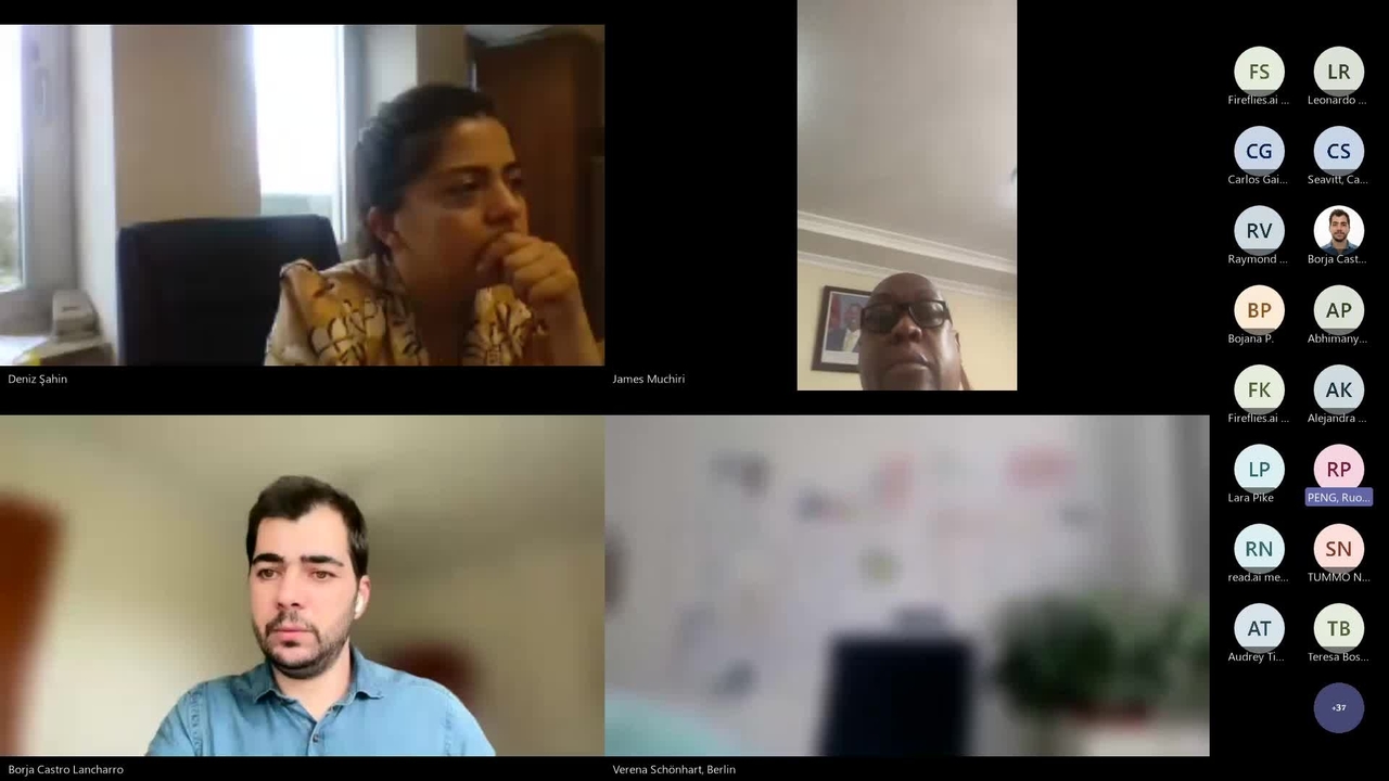 Video preview