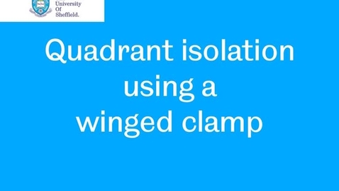 Thumbnail for entry Rubber Dam 3 Quadrant winged clamp